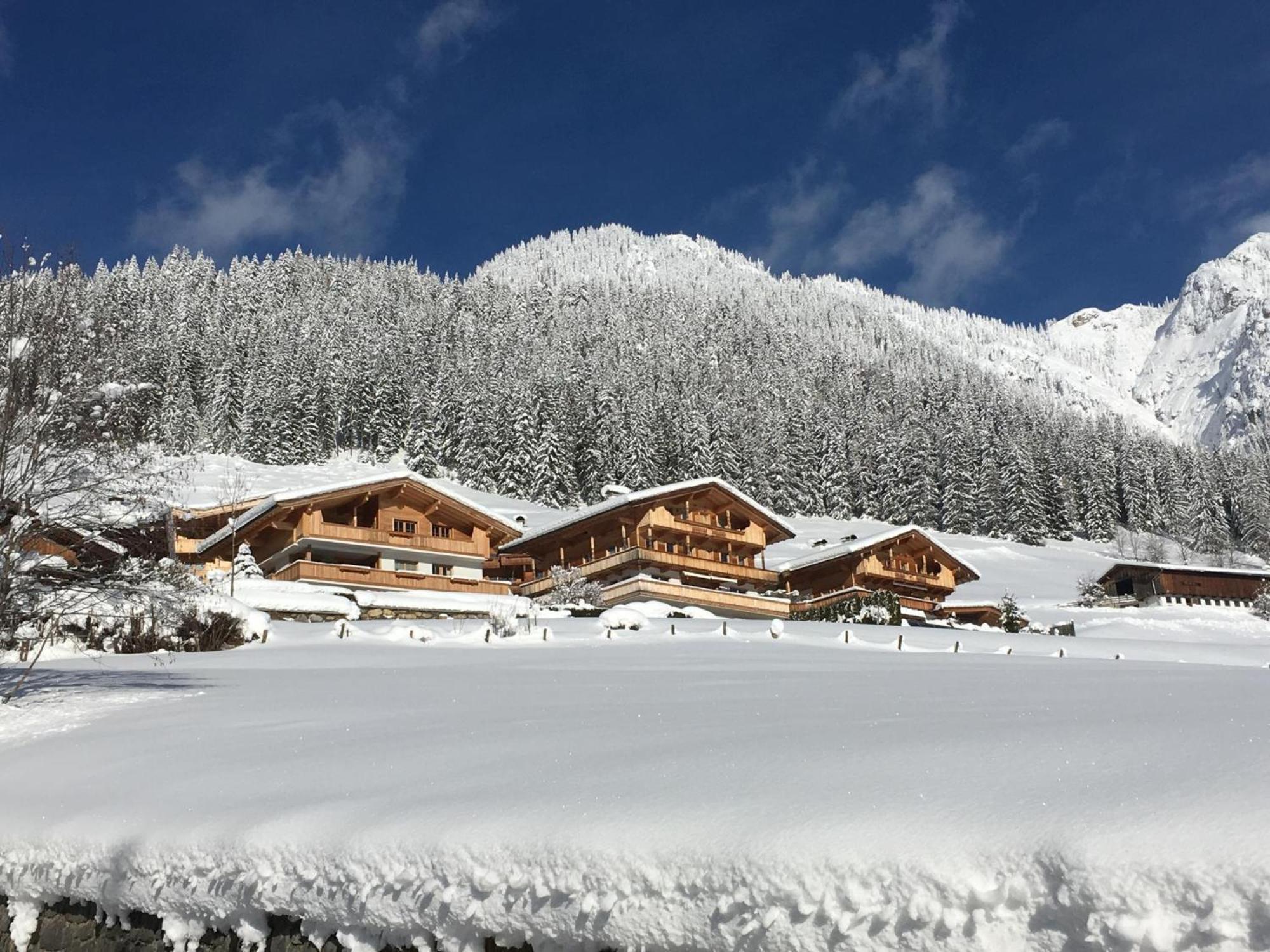 Haus Fernwald Top Tim Und Nynke Alpbach Exterior photo