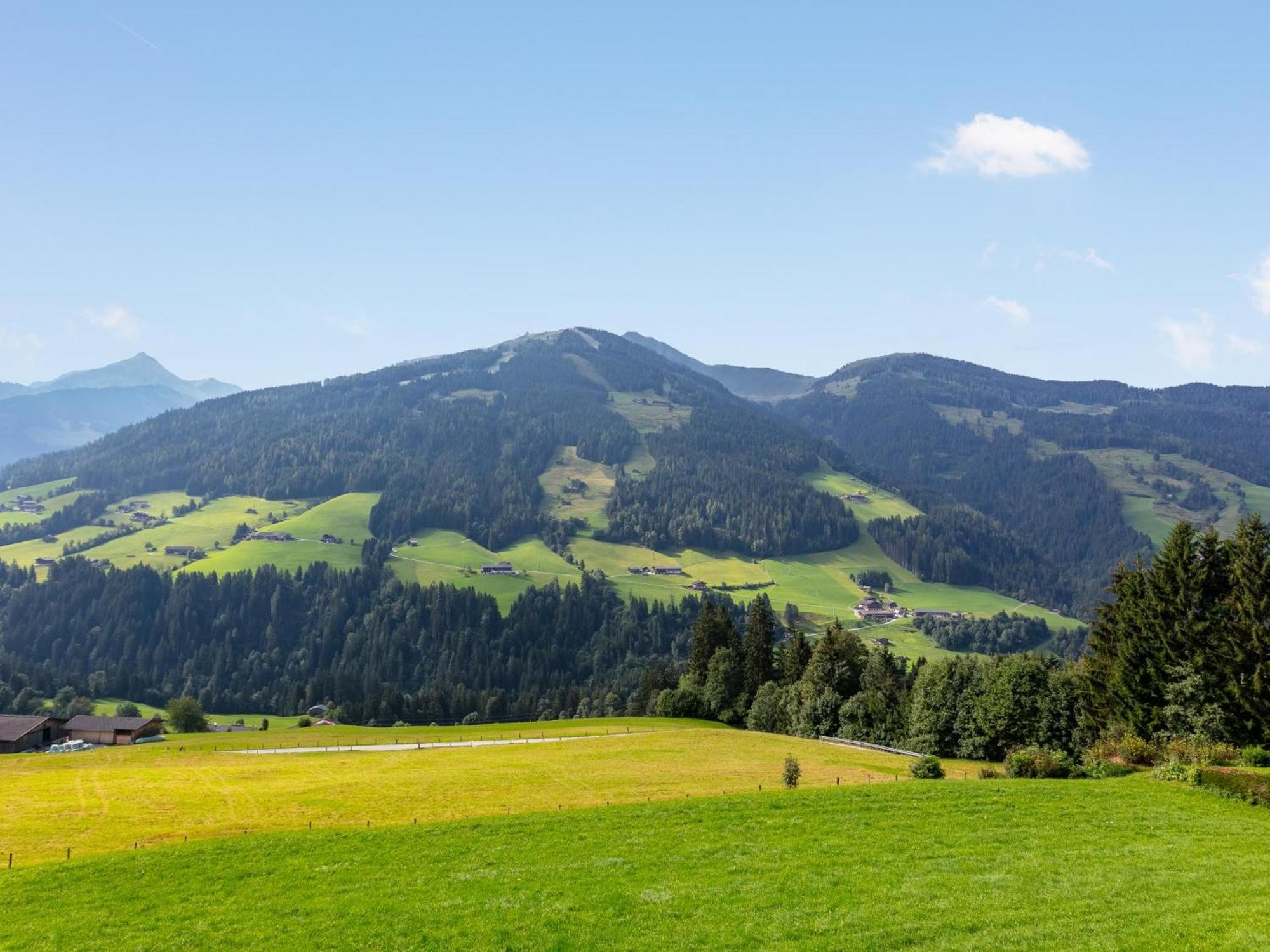 Haus Fernwald Top Tim Und Nynke Alpbach Exterior photo